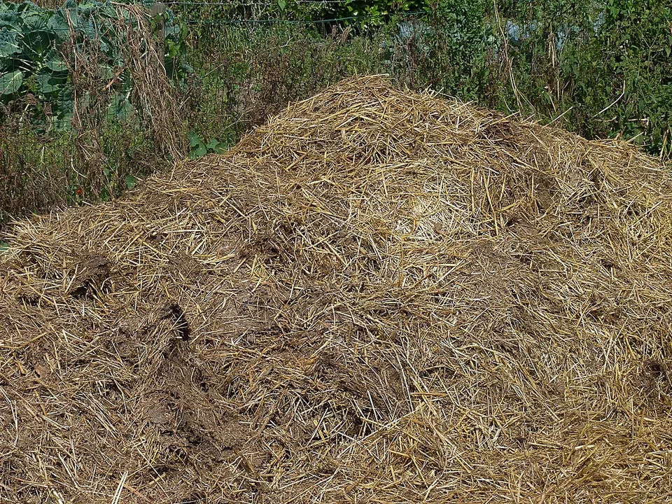 Müll