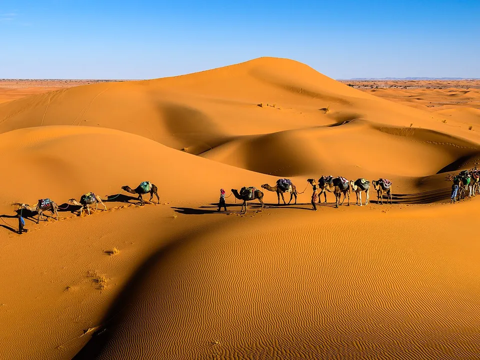 مُسَافِر