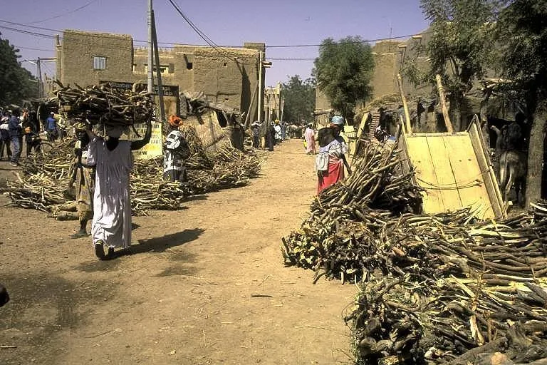 حطب