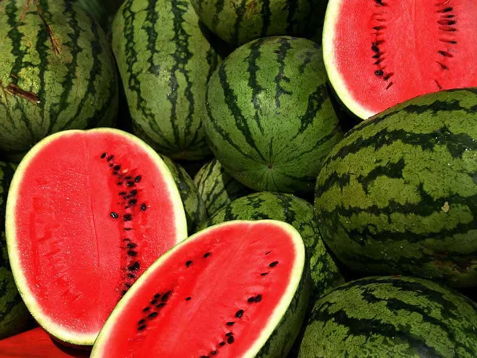 Wassermelone