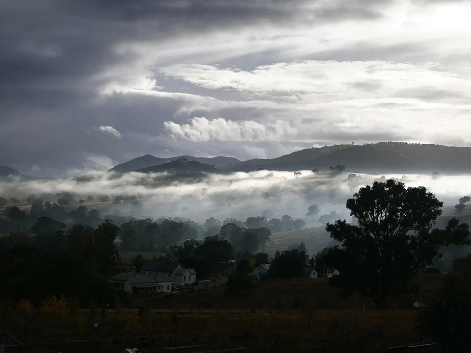 Nebel