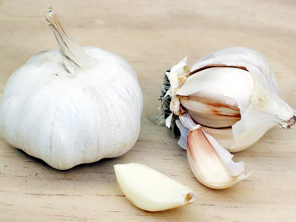 Knoblauch