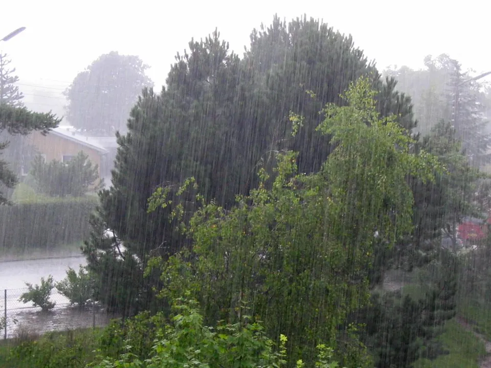 Regen