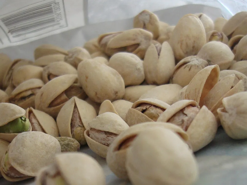 Pistazie