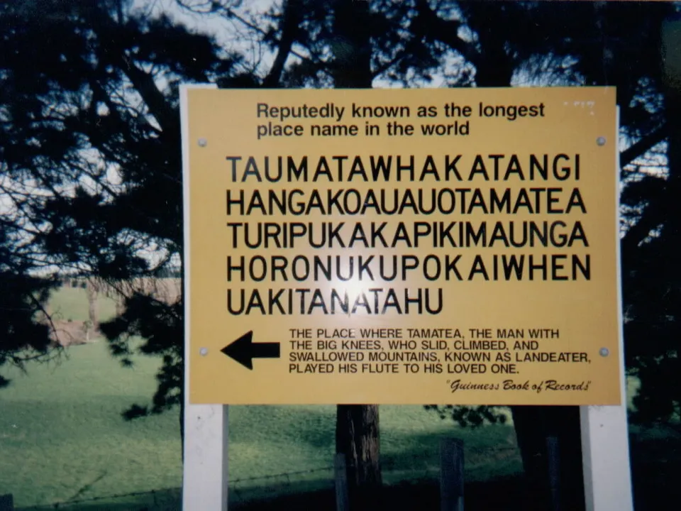 kelime