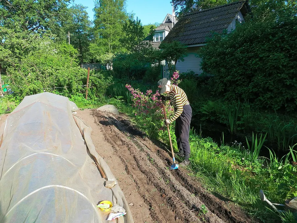 Garten
